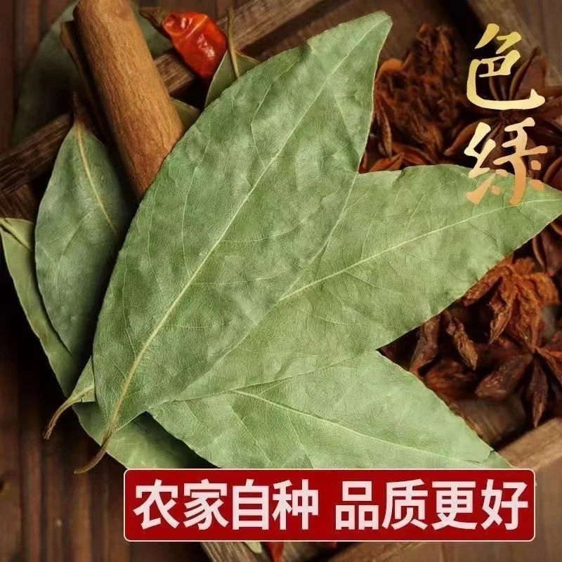优质香叶《罐装》正宗头茬新货香料调味品卤料炖肉家用炒菜大料