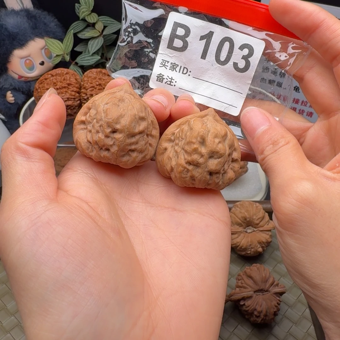 吊坠龙脊菩提36全品古蟾