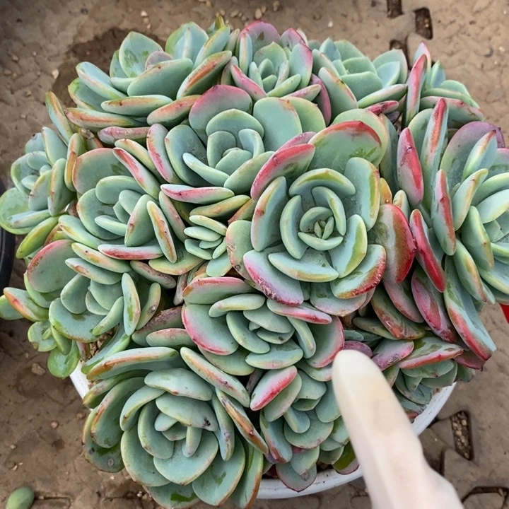 顺***栈888888888888888888