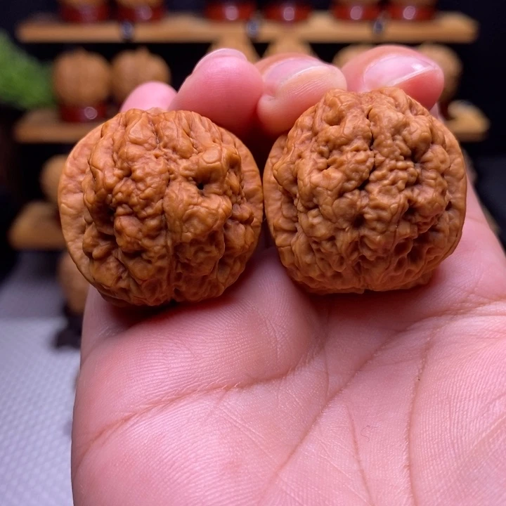 苍***哥核桃血舍利6号