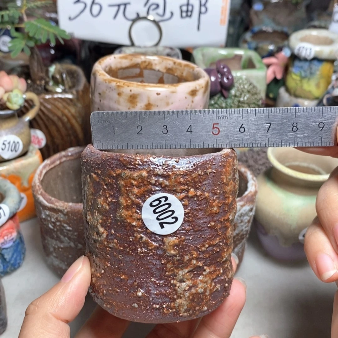 拍5送一个小礼物