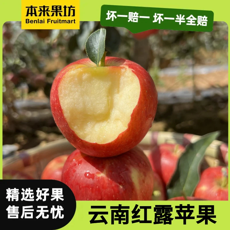 【本来果坊】云南昭通红露苹果 头茬小苹果 新鲜水果 产地直发