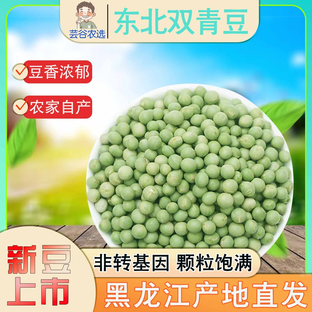 东北青豆芽豆非转基因双青豆豆浆豆芽大豆绿心黄豆豆腐青皮