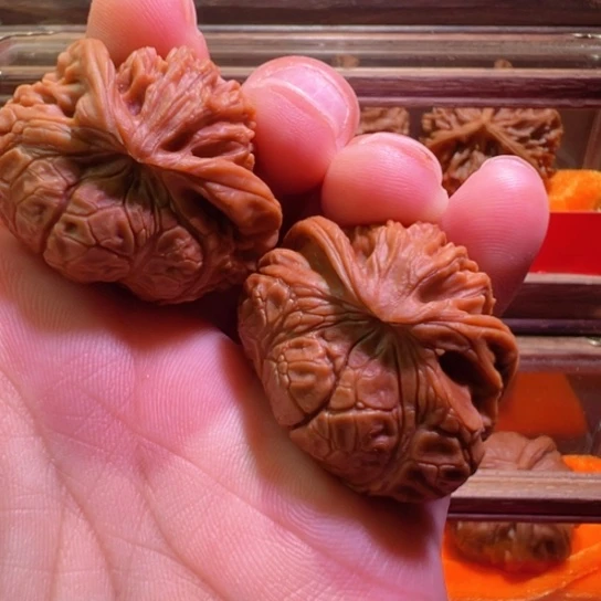 土豪级眼镜蟒蛇宫灯36边32肚32高