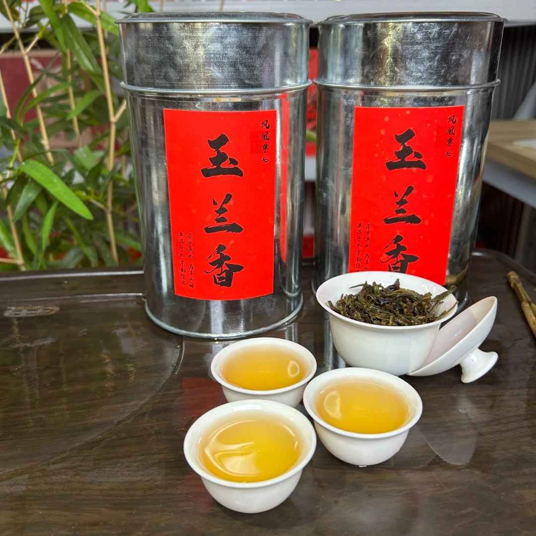 凤凰单枞茶2025高山玉兰香单丛茶清香茶汤绵柔耐冲耐泡头春茶叶