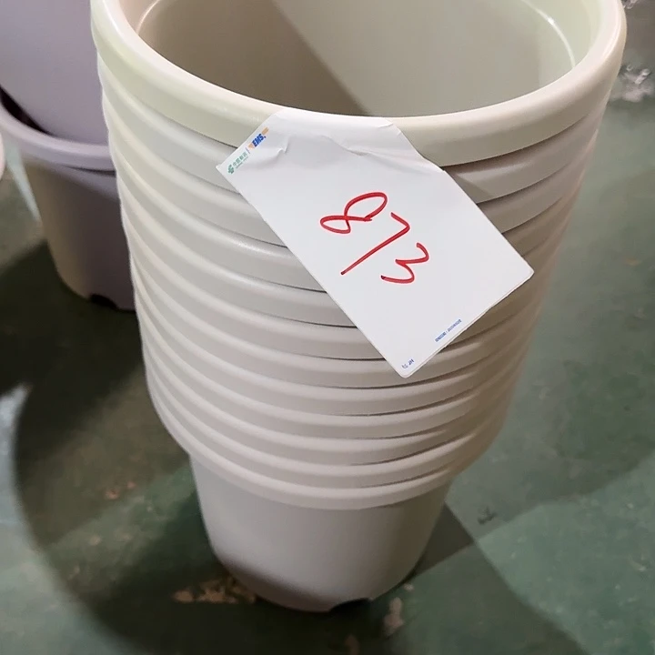 编号873瑕疵6个无托