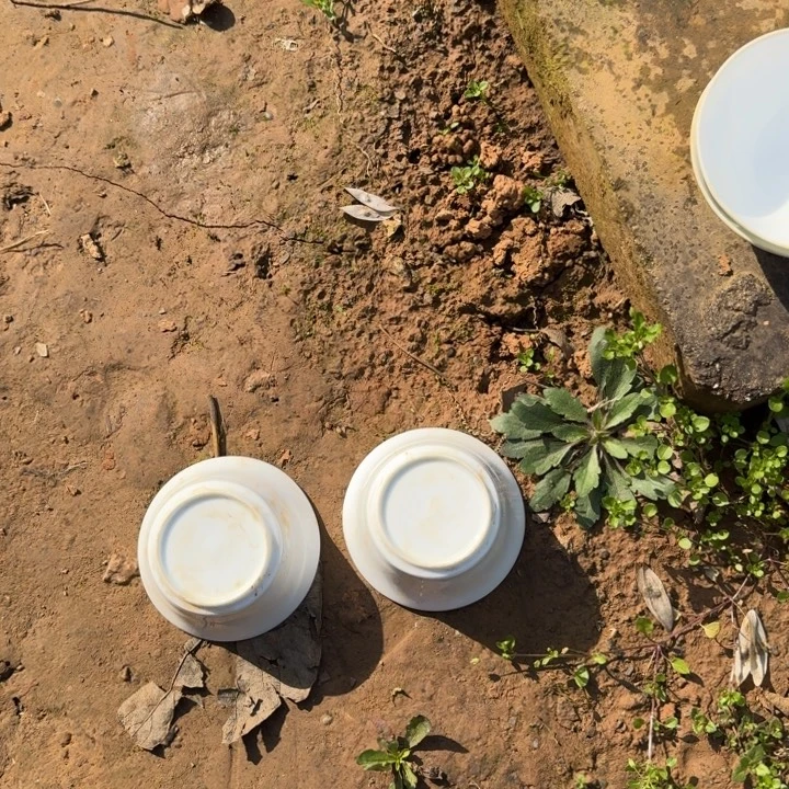 摆件陶瓷器瓷器瓷器瓷器瓷器