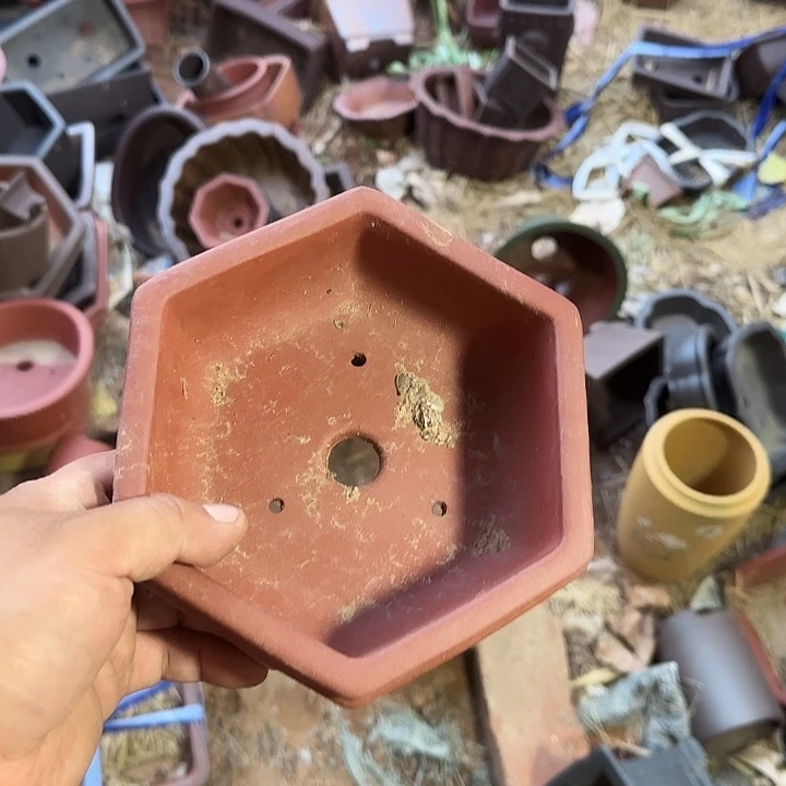 在家里等了你三分钟还