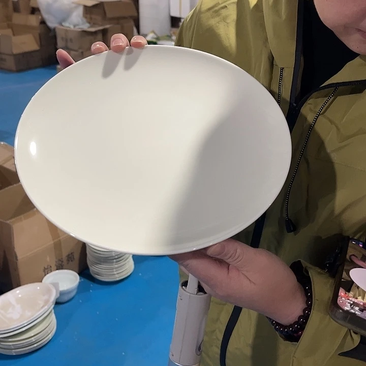 瓷片莫兰迪色10英寸主菜盘一个，包邮