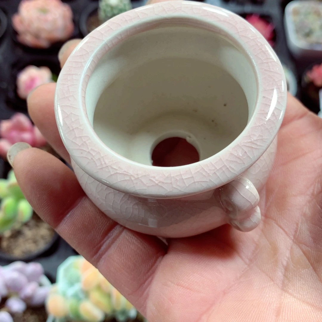 5厘米盆精控多肉陶瓷盆