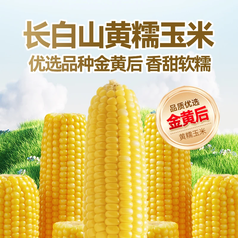 【达人专属】长白山远牧金黄后黄糯玉米8支装/箱1.8kg*5箱