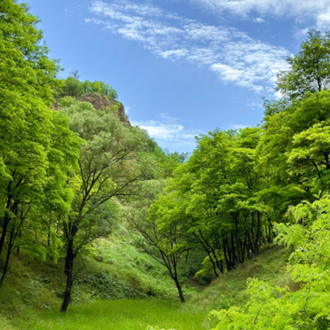 海外撤柜渠道货polo