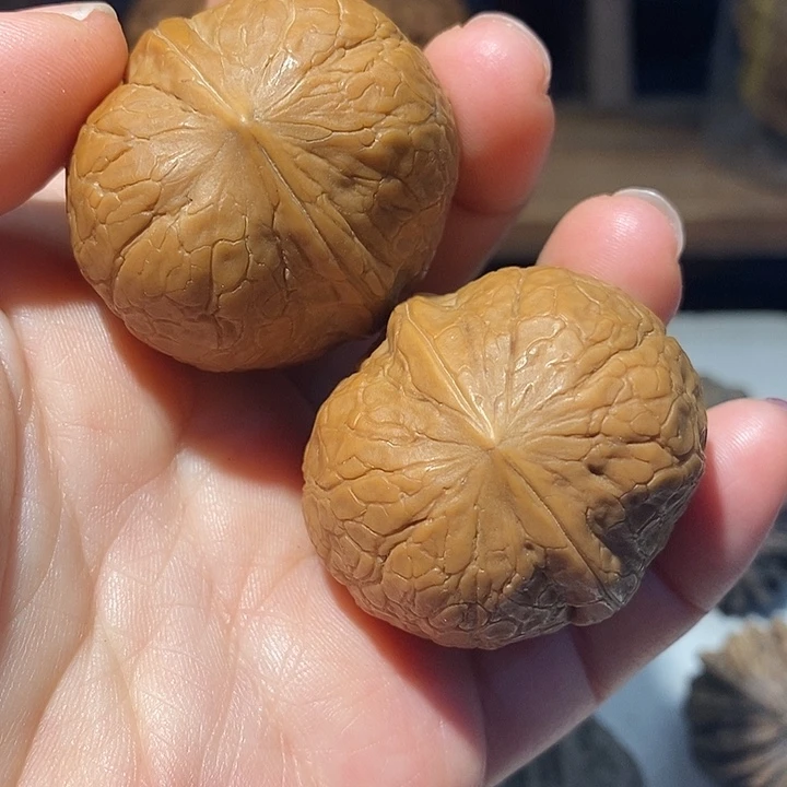 文玩核桃把件6666666