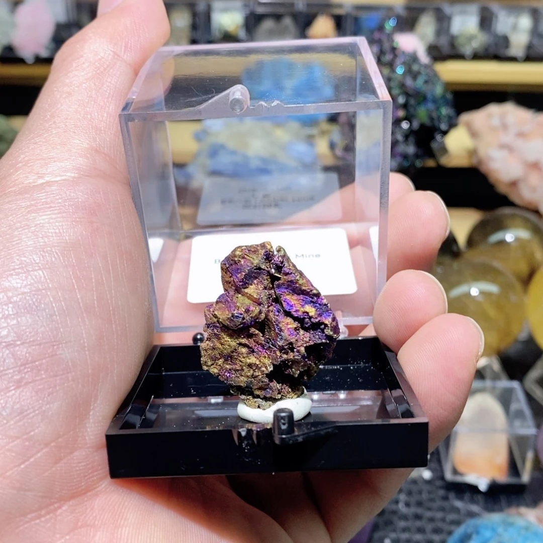 摆件摆件摆件摆件