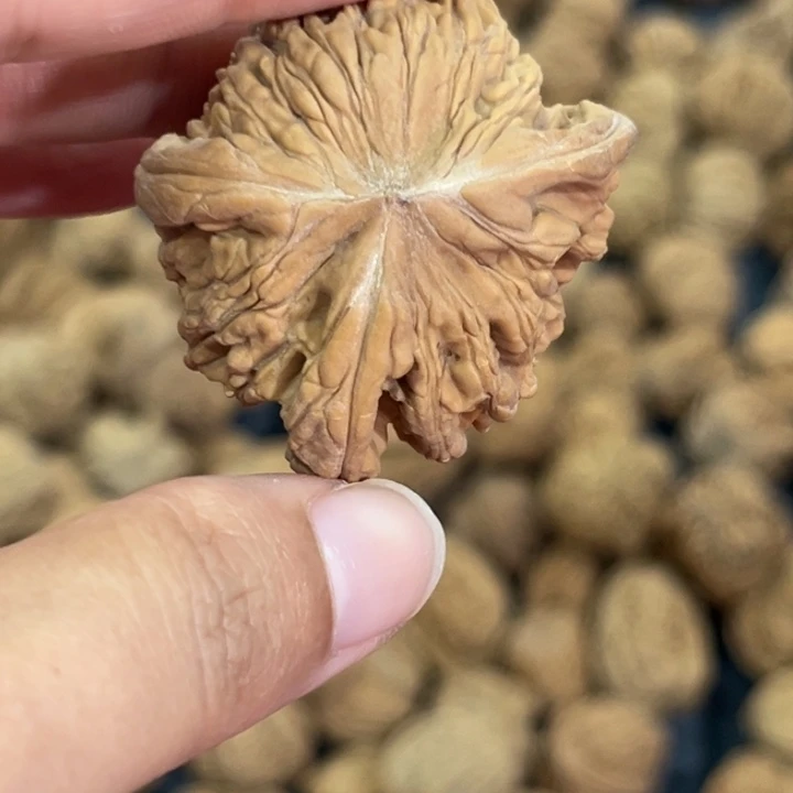 鲁**吃核桃哈哈哈哈哈哈哈哈哈哈哈