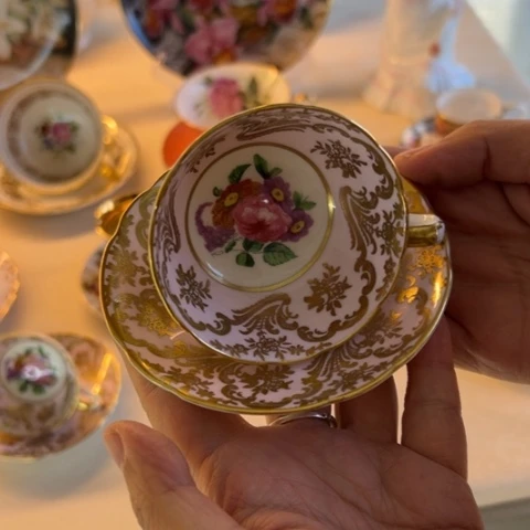 盘维多利亚欧洲中古