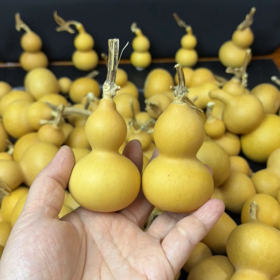 天然小葫芦，手把件文玩盘玩佳品，不保龙头，随机发6个19.9