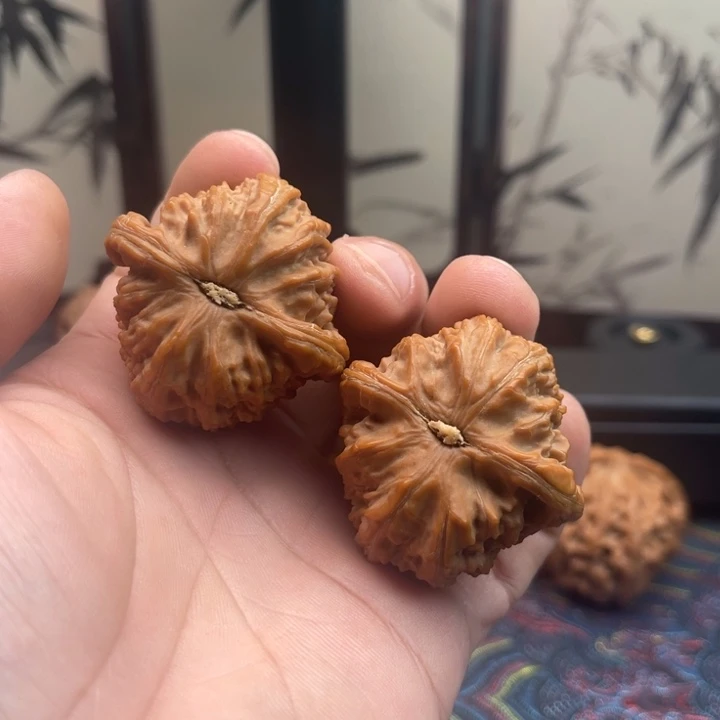 执***雪文玩核桃把件40 白狮子全品