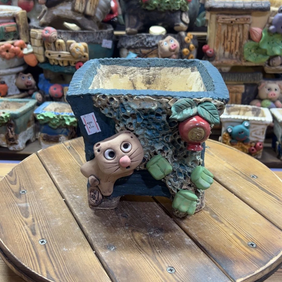 红陶椰***水嘻哈多肉花盆