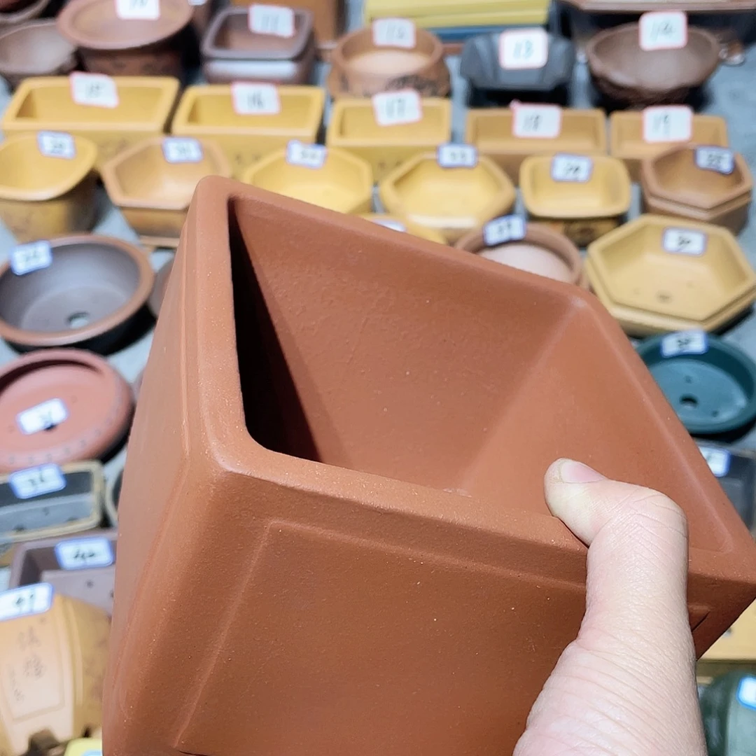 紫砂小盆12.5*9cmmmmm