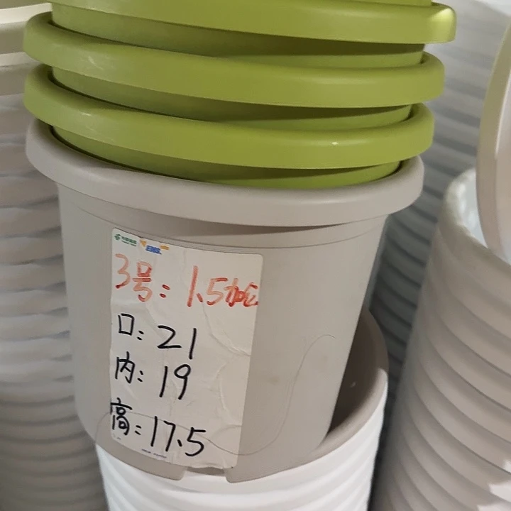 四季3号灰白无托10个特价