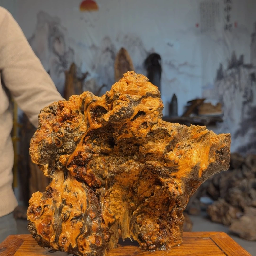 欧***军木三丰琥珀木 天然摆件46