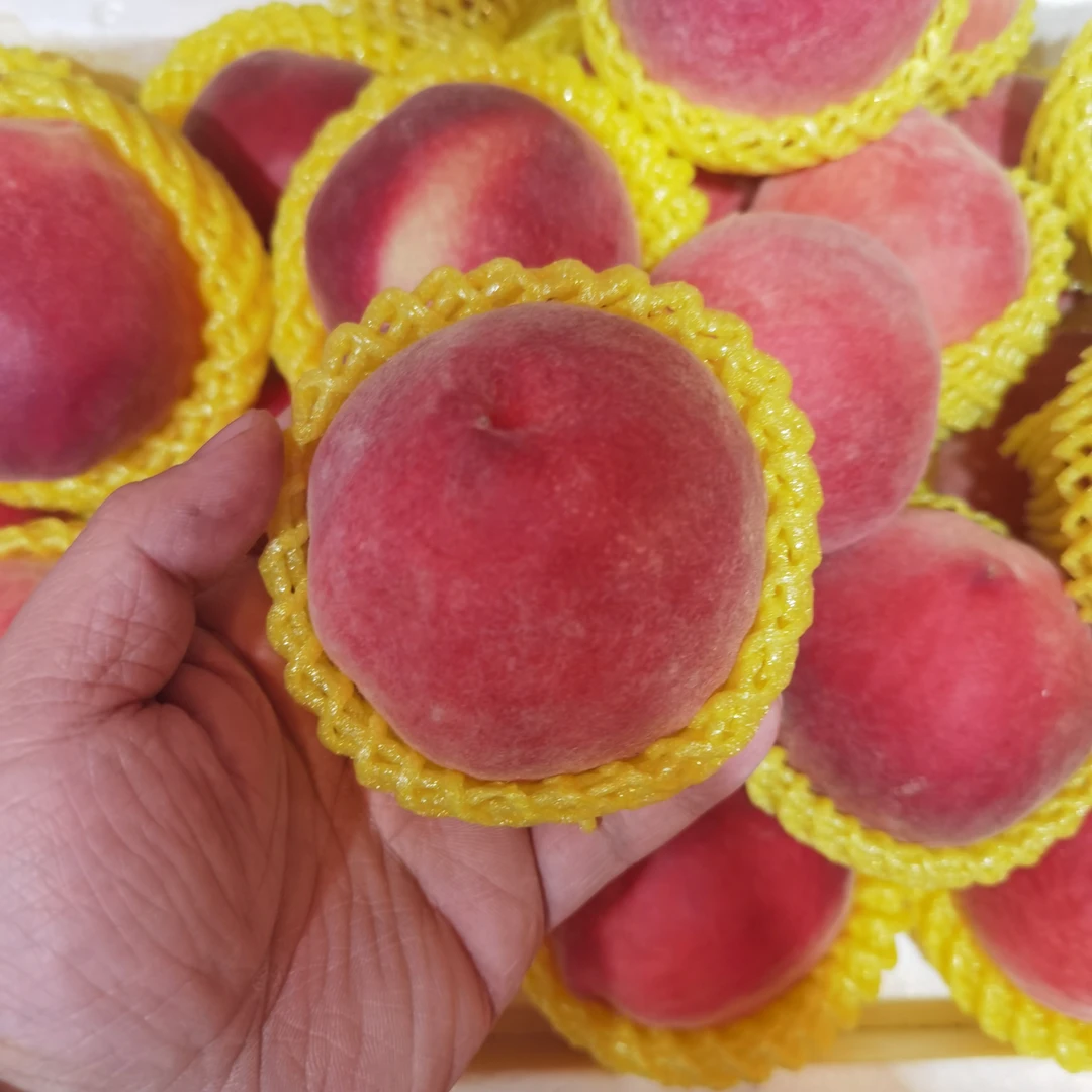 河北大久保水蜜桃软嫩多汁3斤装河北省