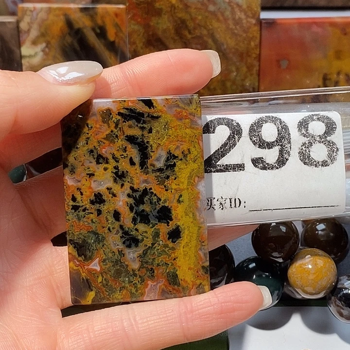 硅化玉未镶嵌天然北票树化玉吊坠