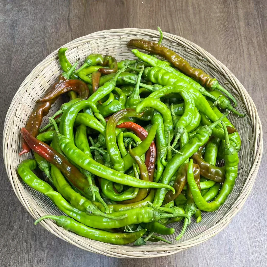 湖南本地紫色辣椒农家自种新鲜采摘薄皮紫红皱皮椒香辣超辣特辣