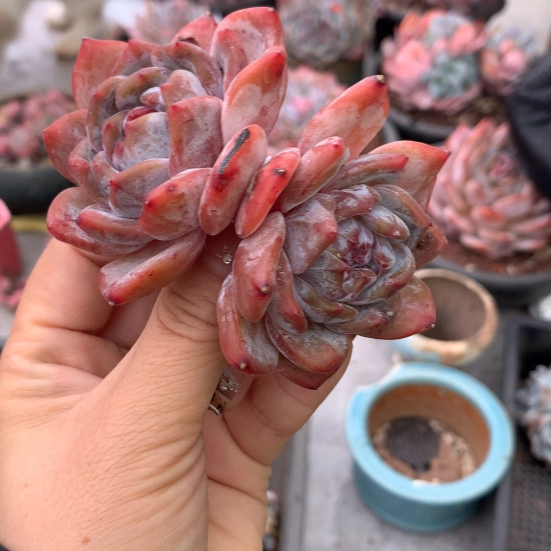 哈哈哈哈哈哈哈哈哈哈哈