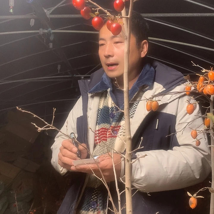 一***好无花朵我们的目标是