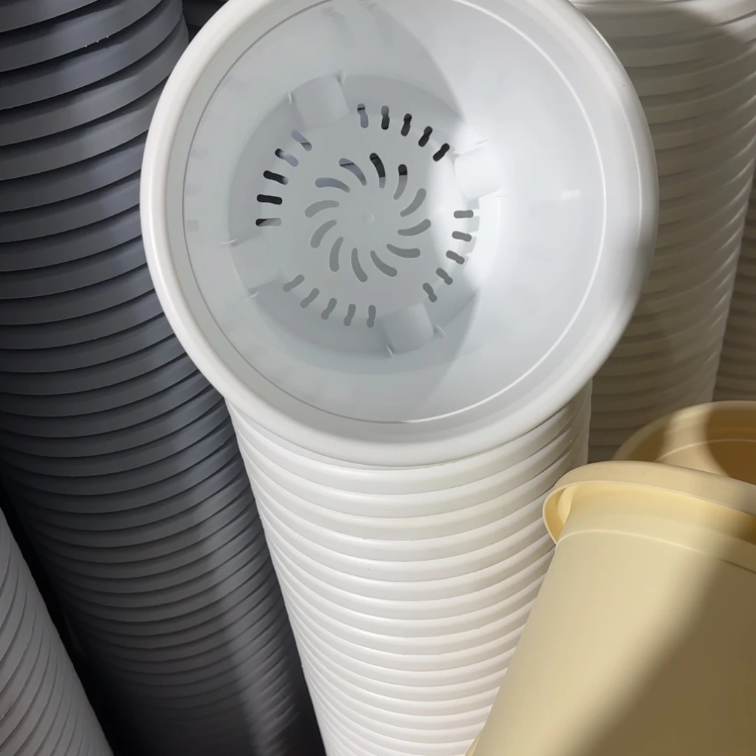 树脂四季4号5个白色的