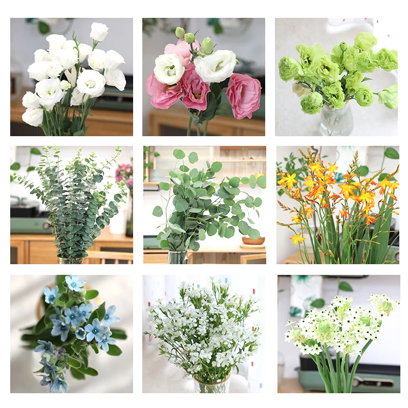 【大聪明卖花】云南草花鲜花  任意两单花材顺丰冷链或德邦快递