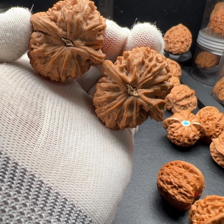 文玩核桃把件?***鱼40全品水龙