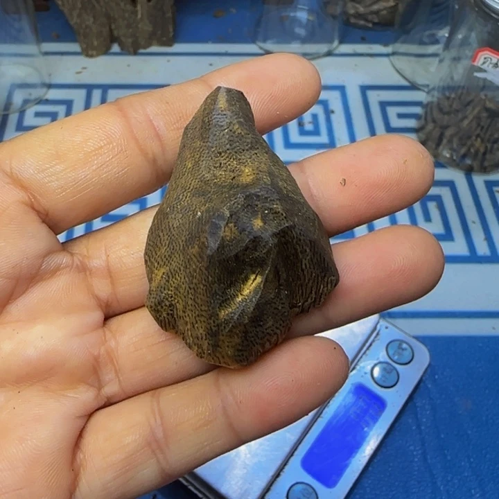 木母树紫奇小包头6.9克