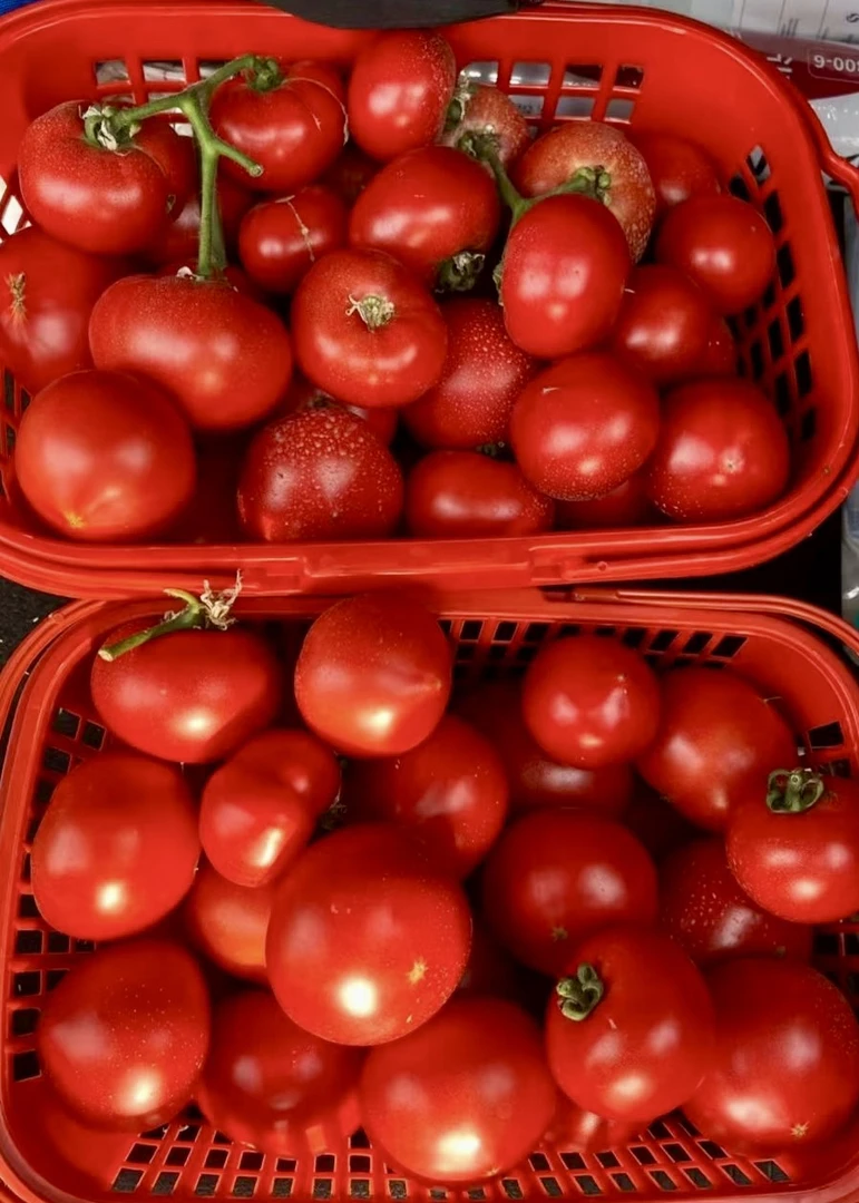 【仅河南省内•京东包邮次日达】水果西红柿•老品种｜小时候的味道