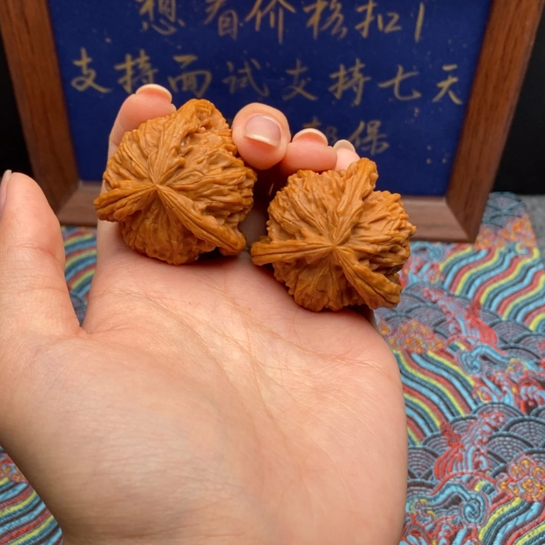 【闪购商品】?白狮