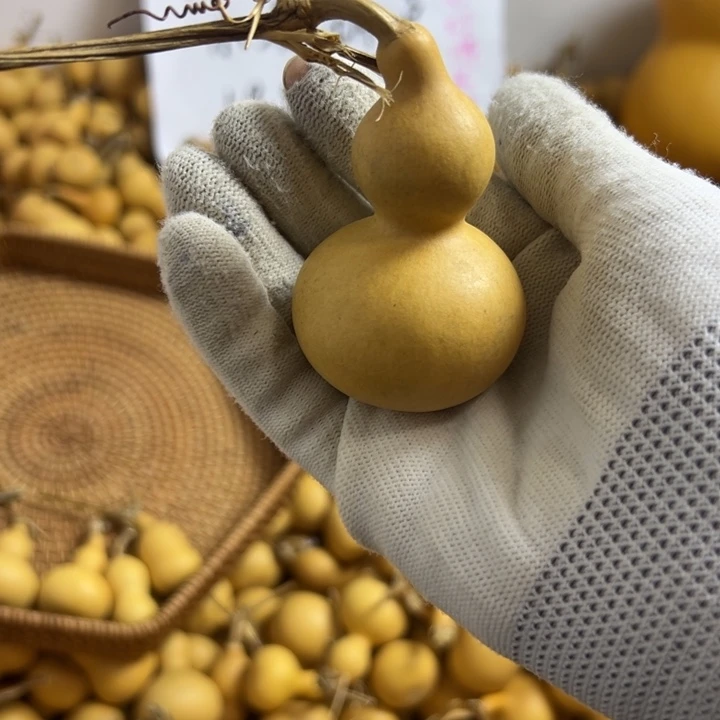 小***.葫芦葫芦葫芦葫芦葫芦