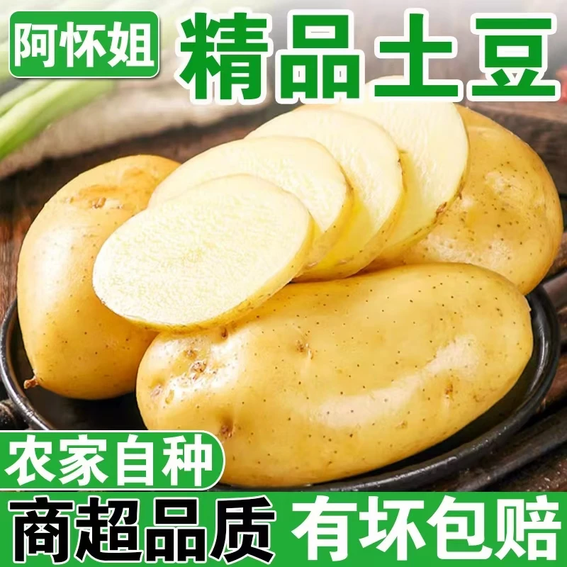 【助农补贴】云南新鲜现挖黄皮黄心土豆软糯可口当季蔬菜 A