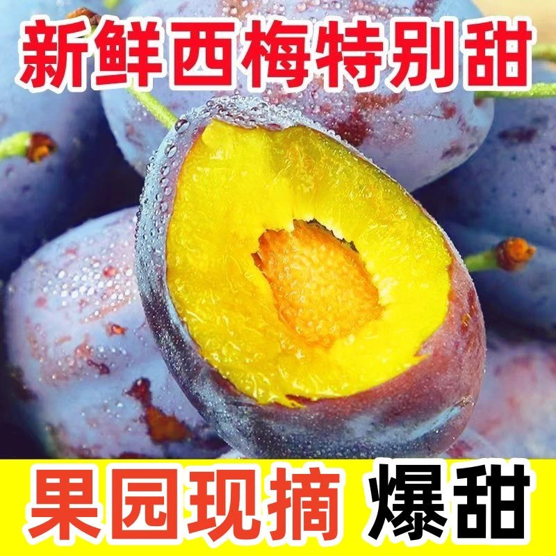 新鲜甘肃天水应季蓝蜜西梅饱满多汁酸甜脆爽孕妇水果