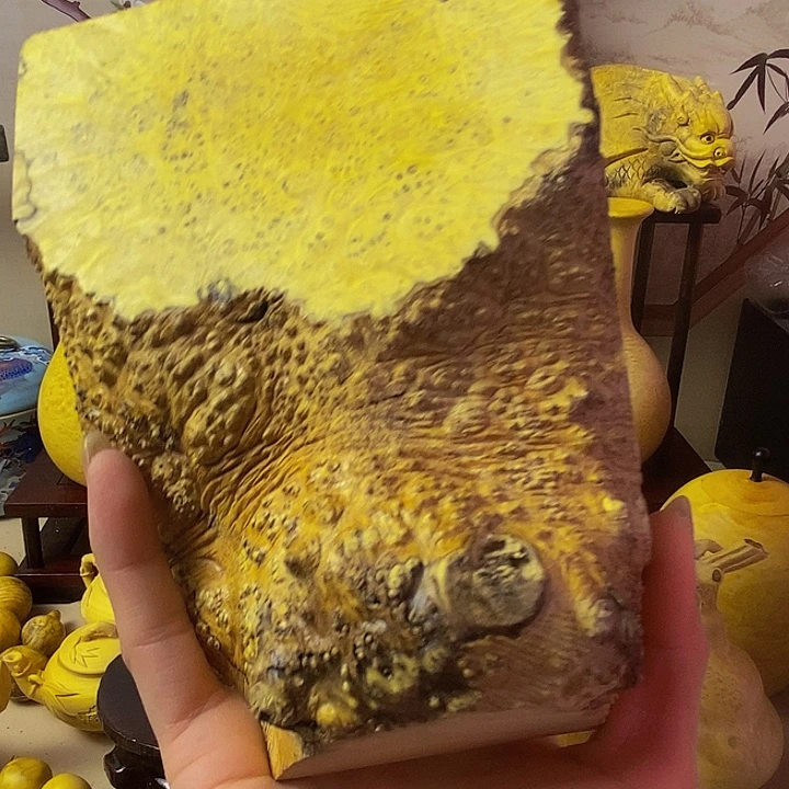 专***李黄杨木等多种木材