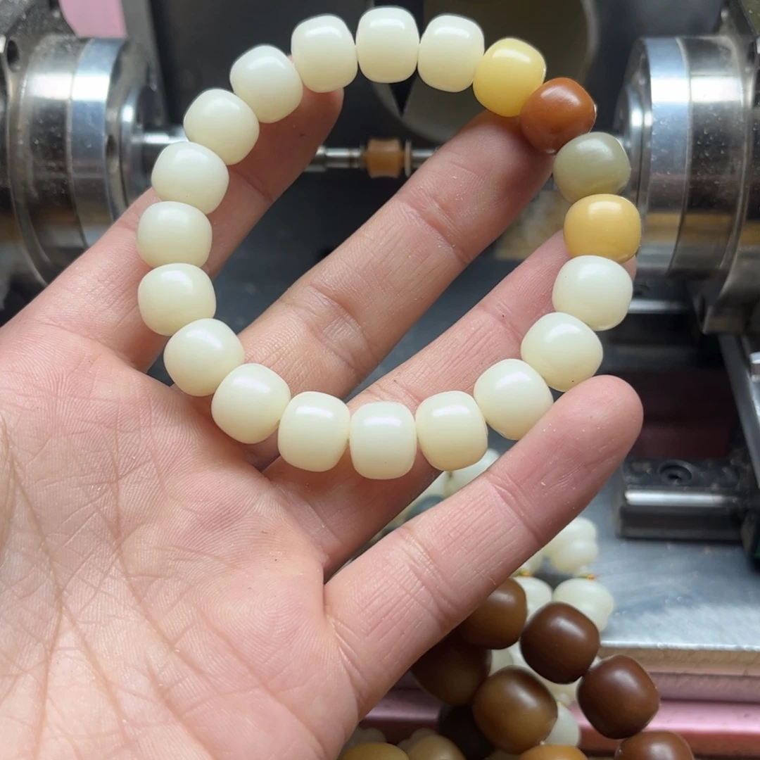 菩提根/象牙果手串