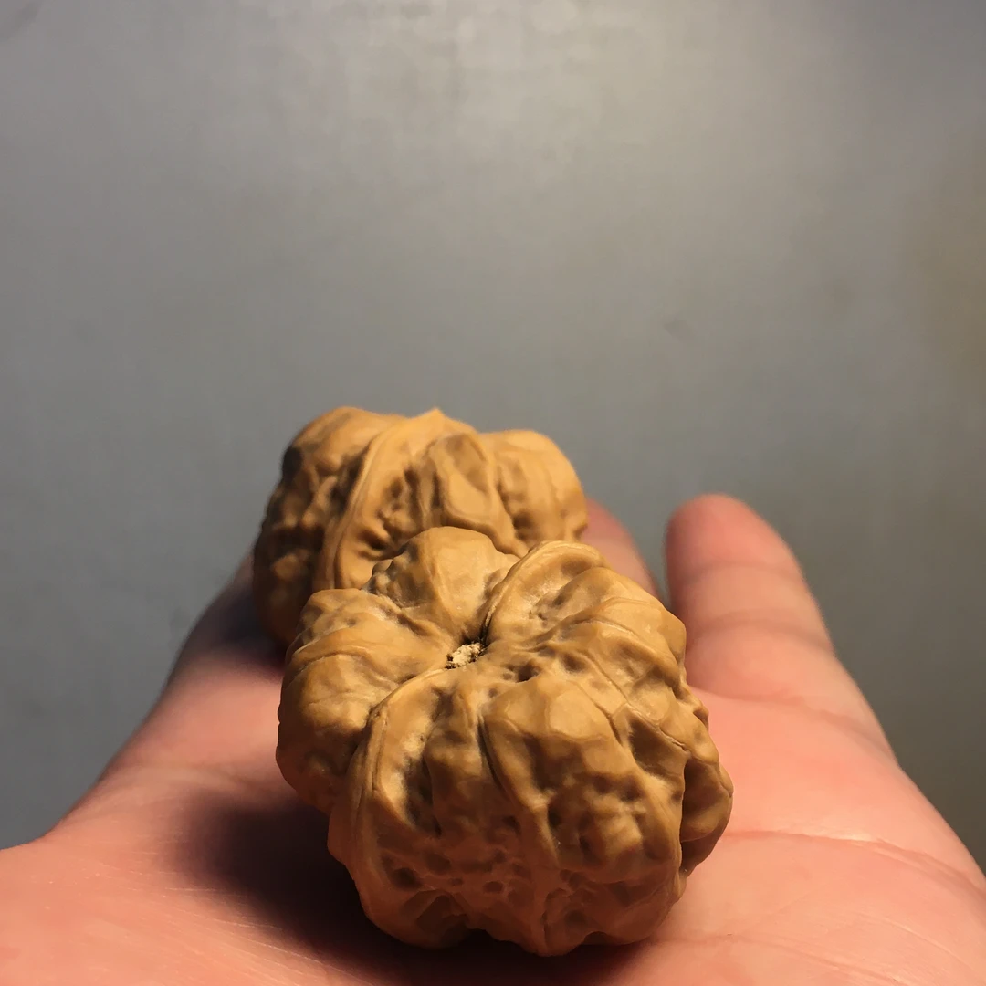 涞水文玩核桃狮子头元宝铁锤蛤蟆头手盘把件粗筋包浆精品核桃玉化