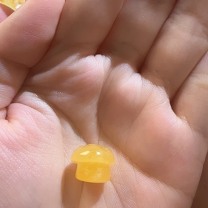 琥珀裸石未镶嵌焦皮小蘑菇