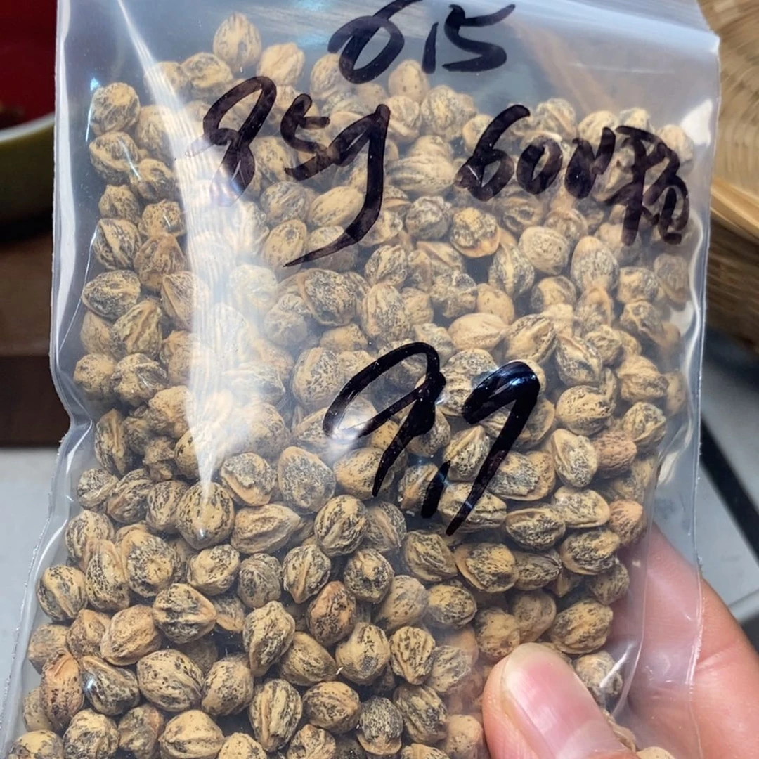柏香籽/百香籽吊坠品**草