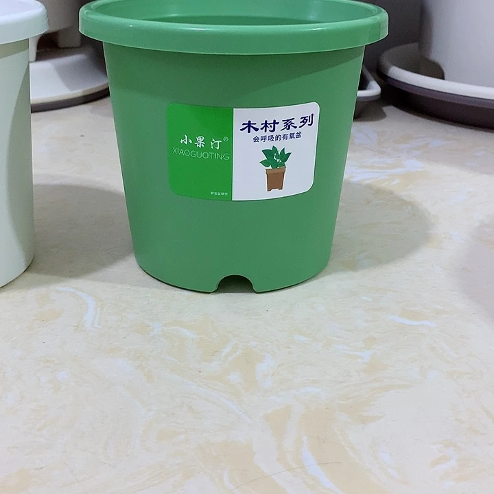 小果汀15口绿10个无托