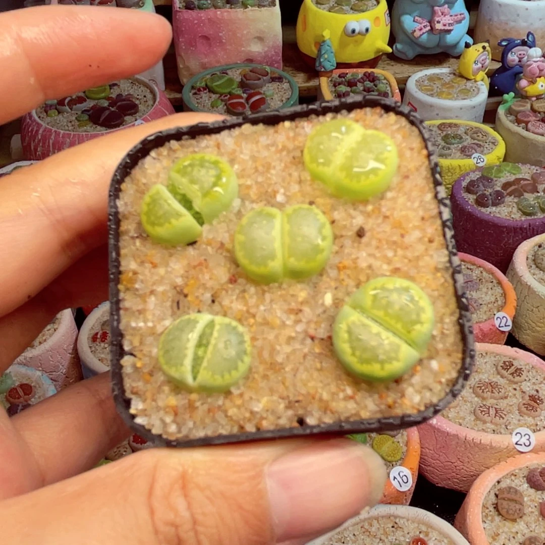 449。8888888888888888