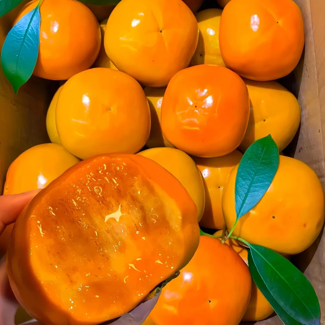 青莲巧克力脆甜柿子