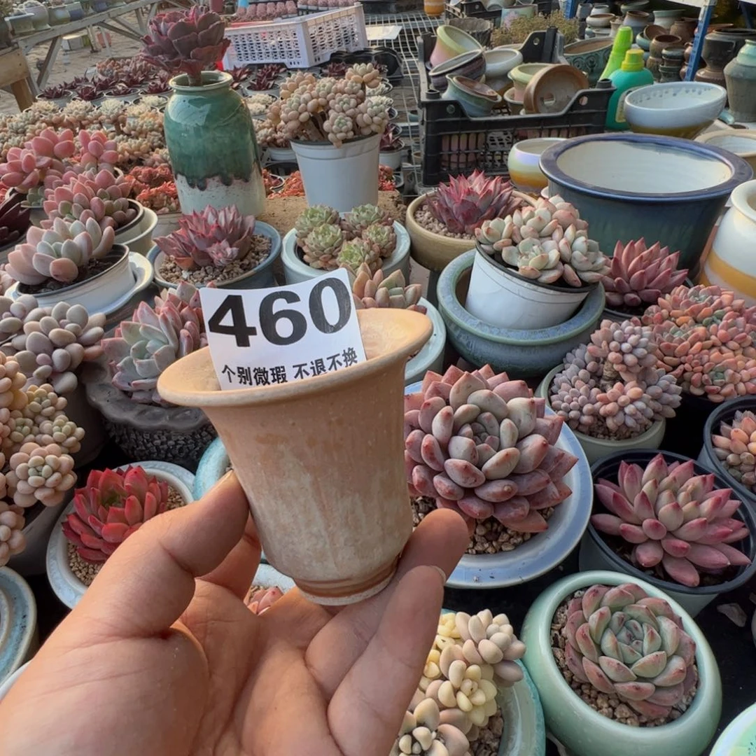 特价花盆只随单或满50发货内口6