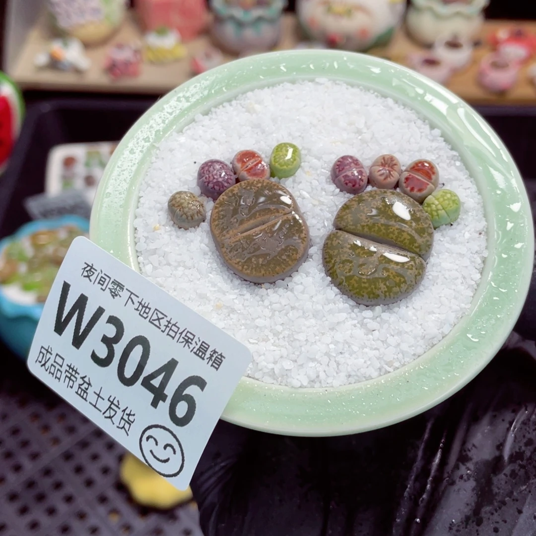 夜间零下地区拍保温箱w3046